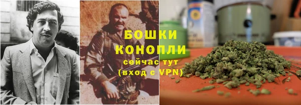 прущие крисы Аркадак