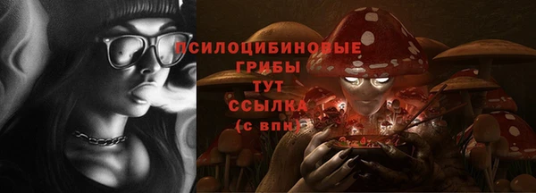 соль ск Балабаново