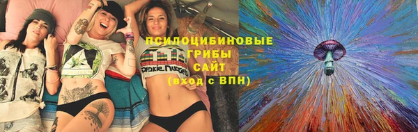 прущие крисы Аркадак