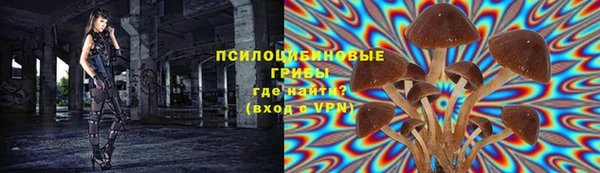 прущие крисы Аркадак